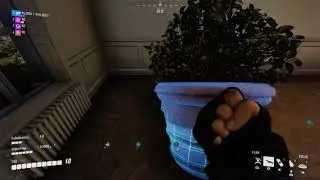 The Finals - Fatal Florist Trophy Guide