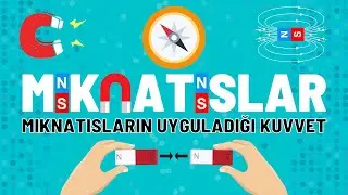 4. Sınıf Mıknatıslar Konu Anlatımı | Fen Bilimleri