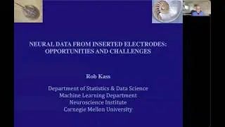 Neural Data From Inserted Electrodes: Opportunities and Challenges