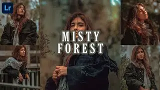 Misty forest Preset | Forest Preset | Lightroom Preset Free Dng | Lightroom Editing | Outdoor Preset