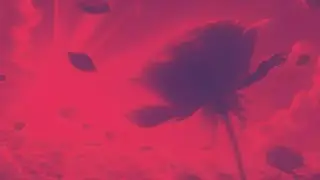 nobloodsxgar (feat. aaangvlz)