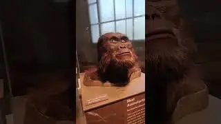 ABD Ulusal Doğa Tarihi Müzesi | National Museum of Natural History Washington ABD 24
