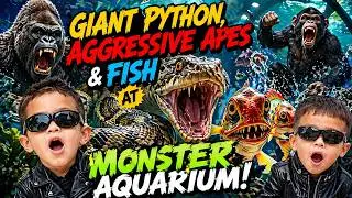 Exploring a Monster Aquarium with My Family!