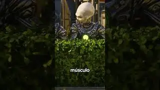 SOU SÓ EU QUEM RIO DESSAS MERD@S? 😅