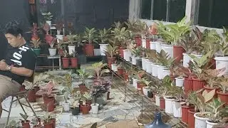 Bantuin Temen Jualan WA :0812-2563-4445