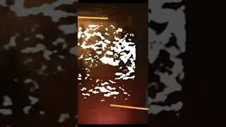 Три части головного мозга 