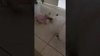 Не подходи ко мне