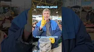 Одесса Привоз Рыбный ряд Дунайка Осётр Кефаль у Модестовича 21.03.2024 