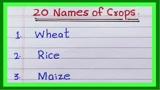 Names of Crops | in English | List of Crops in India | 20 Name of Crops