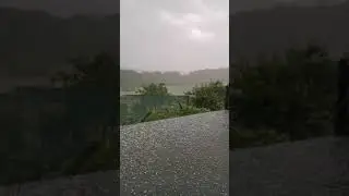 Neruje s točo v Pomurju