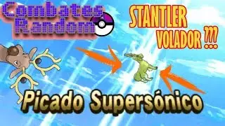 UN STANTLER VOLADOR | ESTRATEGIA STANTLER | COMBATE RANDOM
