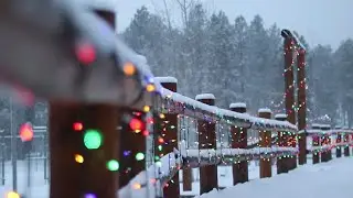 Camp Elim Update - December 4, 2021