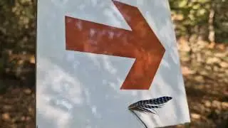 Μονοπάτι διαδρομής Σελλά Άγιος Νικήτας Μεσσηνία