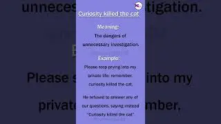 Curiosity killed the cat (Idioms)