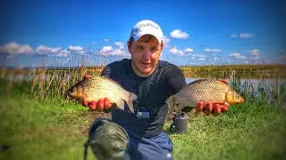 ЛОВЛЯ КРУПНОГО КАРАСЯ !!! Рыбалка на карася весной ! Поплавок