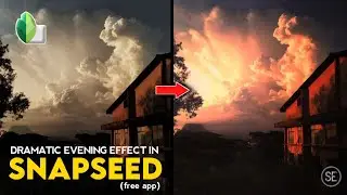 SNAPSEED GLOWING SUNLIGHT EFFECT using CURVES | Android | iPhone