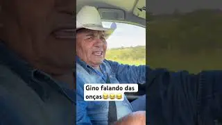 Gino falando das onças. 😂😂😂😂😂