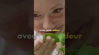 Micro-trottoir de la mémoire - Souvenirs et odeurs