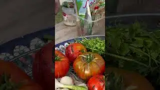 Продвигаем помидоры, 🍅 чтобы снять шкурку! #гриль #рецепты #bbqdishes #шашлык #рецепт #bbqfoods