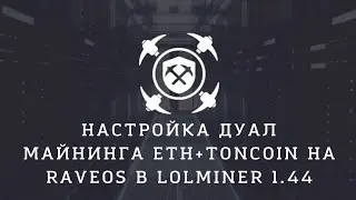Настройка дуал майнинга ETH+TON на RaveOS  lolminer 1.44