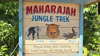 Maharajah Jungle Trek Walk Through