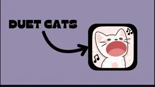 Duet Cats (Death Bed, Bad Guy, Axel F)