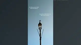 Quote of the day #quotes #motivation #shortvideo