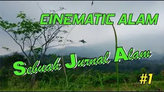 Cinematic Alam | Sebuah Jurnal Alam #1