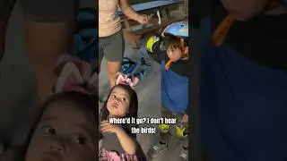 Birds Stopped Chirping? #solareclipse2024 #totalsolareclipse #sailormoon #texas #dallas #toddlers