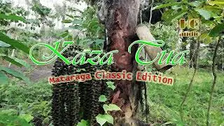 KAZA TUA||Mataraga Classic Edition|HQ Audio