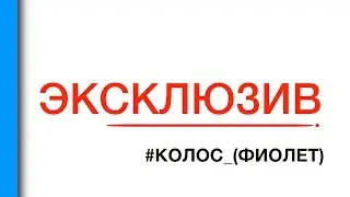 #ЭКСКЛЮЗИВ | КОЛОС_(ФИОЛЕТ) | MUZA-BAR | Полтава | 21.02.2016