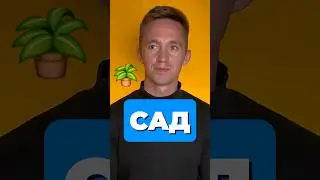 ГЕОМЕТРИЯ САДА 🧐 #база #математика #шортс #егэ #егэ2025