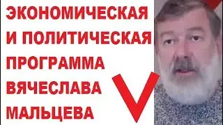 Экономическая и политическая программа Вячеслава Мальцева