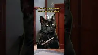 Кошка мама подралась с папой😱 