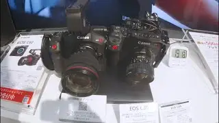 201「RF28-70STMとC80を触りに行ってきたよ」