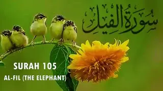 Surah Al Fil Ayat 105 #viralreel #surahalfil