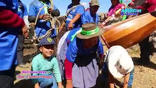 🐮🐮 TORO TORO en HERRANZA en TILAR WASI LUCANAS 2024 🌺🌺