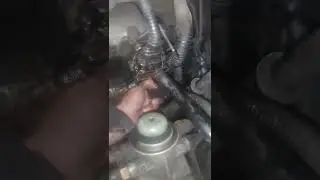 ночные приключения на соренто🤪