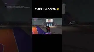 Tiger 🐅 LVL 40 SZN AWARD
