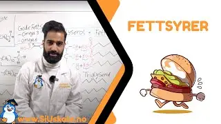 2. Fettsyrer | Naturfag Næringsstoffer