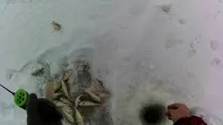 Чаны Сорочиха 03 12 2020