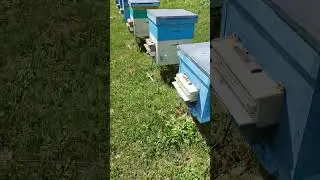 23 июля 2023 г.