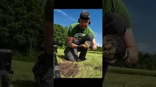 is das keine MÜNZE? #sondeln #metaldetecting #lechsonde