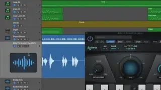 Simple and Accurate Real Time Pitch Correction With Auto Tune Access From Antares