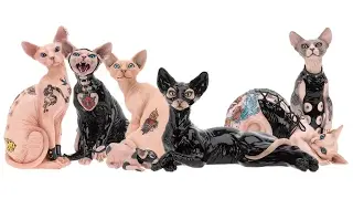 Dump fashion trends in tattoo. Tattoos on cats, dogs ... Cat Dog TATTOO