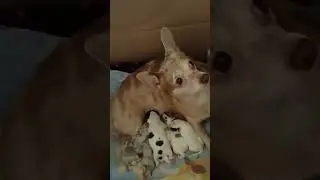 Нас можно поздравить!!!
