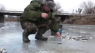 Зимняя рыбалка, бешеный клёв густеры