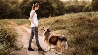 Cooper & Vanessa - Hunde-Videografie - Collie