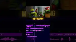 if I voice acted for Teenage Mutant Ninja Turtles 🤣￼