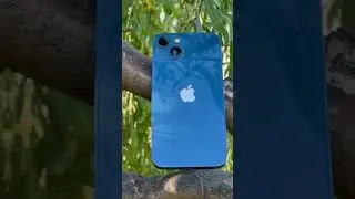 Стоит ли брать IPhone 13 в 2024 году? #айфон #айфон13 #айфон13в2024году #телефон #smartphone